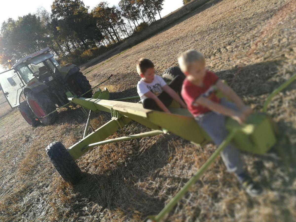 Agroturystyka U Swiatkow Stara Kamienica Esterno foto