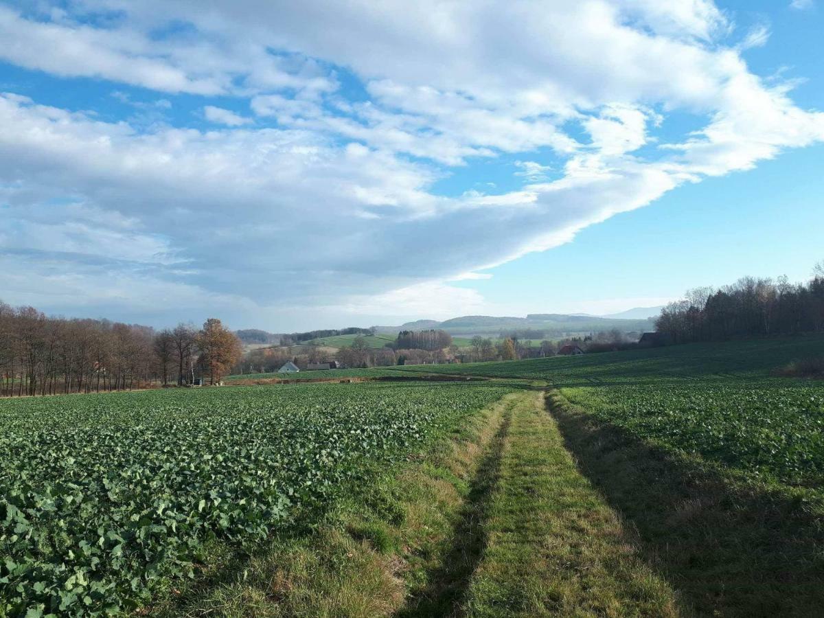 Agroturystyka U Swiatkow Stara Kamienica Esterno foto